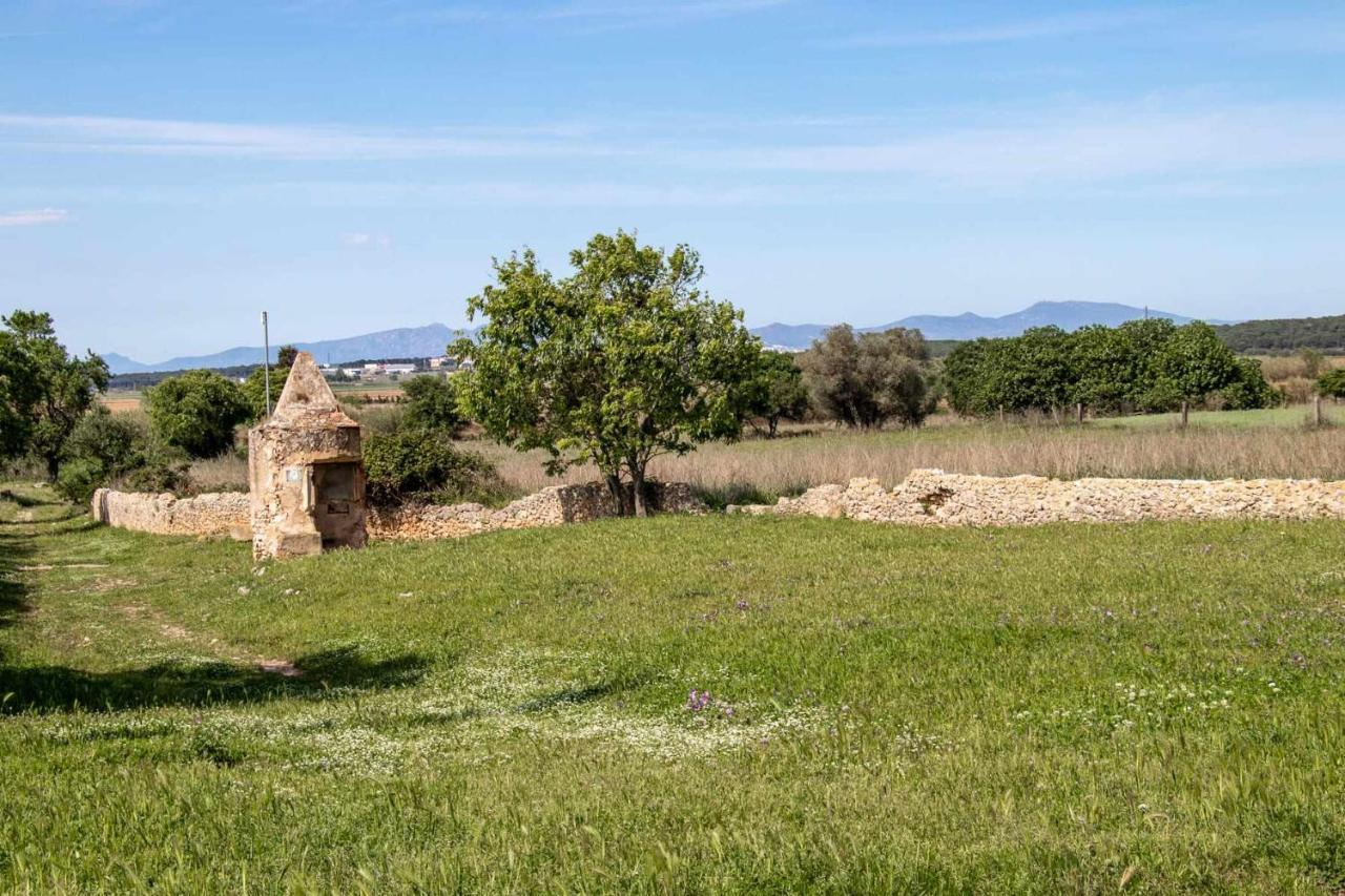 Ocells De Montgri Apartamento Rural En El Emporda Sobrestany Exteriér fotografie